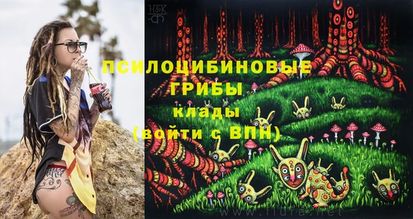спайс Абинск