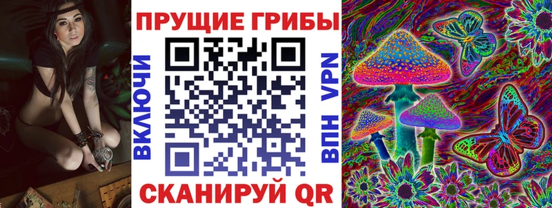 Галлюциногенные грибы мицелий  площадка Telegram  Ахтырский  сколько стоит 
